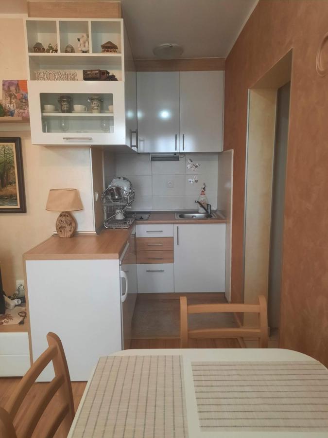 Fit Apartman Zlatibor Exterior foto